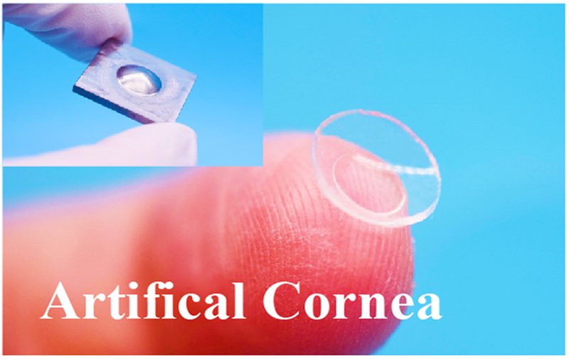 聚焦高端生物組織功能膜科研轉化，博創(chuàng  )生物喜獲天使+輪融資